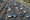 Intelligent Transport Systems